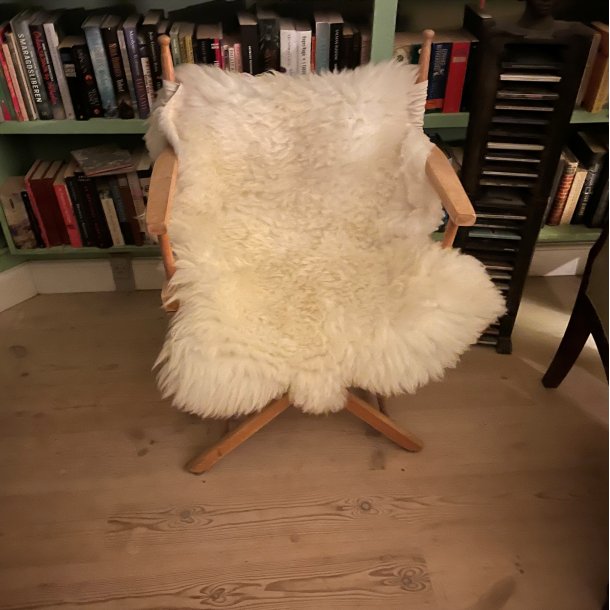 Perfekt rhvid shropshire lammeskind