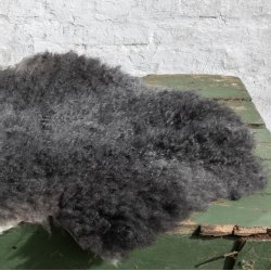 Thy Lam skind, stort kologisk