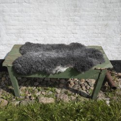 Thy Lam skind, stort kologisk