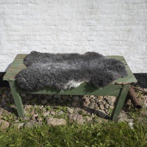 Thy Lam skind, stort kologisk