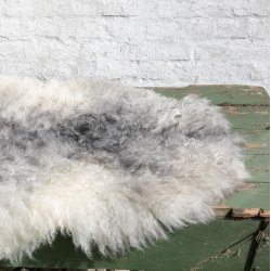 Thy Lam skind, hvidt og grt 