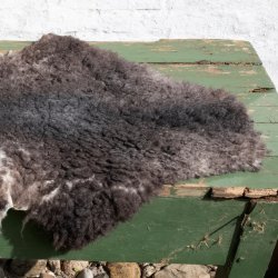 Thy Lam skind, gr korthret