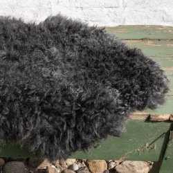 Thy Lam skind med spil