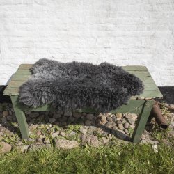 Thy Lam skind med spil