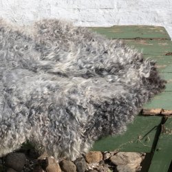 Thy Lam skind, gr unikt