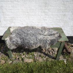 Thy Lam skind, gr unikt