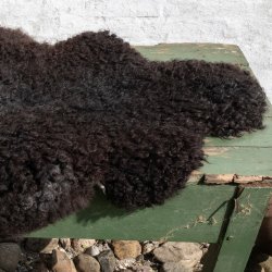 Thy Lam skind, sort, unikt