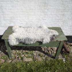 Thy Lam skind, lys gr med mrk bund