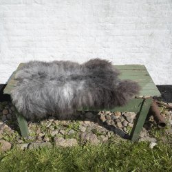 Thy Lam skind, gr languldet