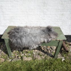 Thy Lam skind, gr languldet