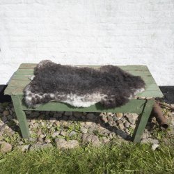 Thy Lam skind, gr  med lille lys hale