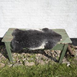 Thy Lam skind, mrkgr/hvid