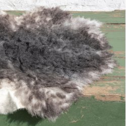 Thy Lam skind, gr/hvid