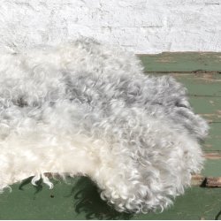 Thy Lam skind, hvid med gr ryg