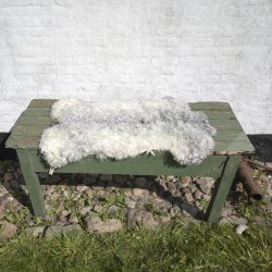 Thy Lam skind, hvid med gr ryg