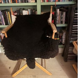 Mrkebrunt ko-lammeskind med hale fra Thy Lam