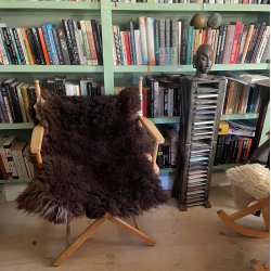 Lkkert mellembrunt ko-lammeskind fra Thy Lam