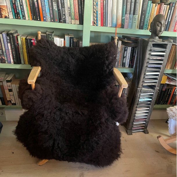 Mrkebrunt ko-lammeskind fra Thy Lam