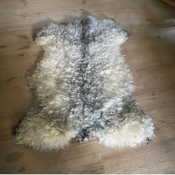 Thy Lam skind, hvid med gr ryg