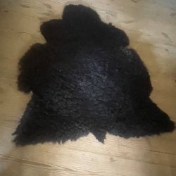 Thy Lam skind, sort, unikt