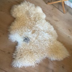 Silkebldt lammeskind med gr plet