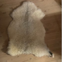 Krllet lammeskind med svage gr aftegninger
