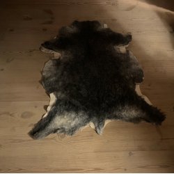 Korthret grt lammeskind