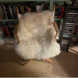 "Den smukke hvide lve"