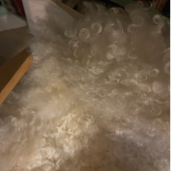 "Den smukke hvide lve"