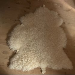 "Den smukke hvide lve"