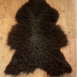 Flot, lidt viltert Thy Lam lammeskind