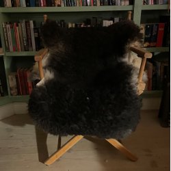 Thy Lam skind, mrkgr/hvid