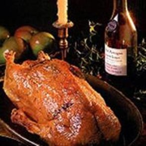 Gs, kologisk, pris ved 4,5kg  - UDSOLGT venteliste til 2025