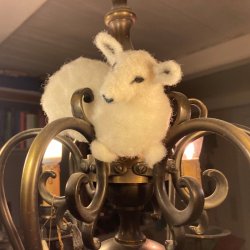 Thy Lam - karteflor - rhvid - min.50g