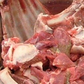 kologiske lammekraftben, hvis 1 kg