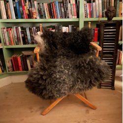 Thy Lam skind med spil