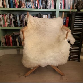 Thy lam skind, shropshireagtigt