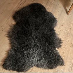 Thy Lam skind med spil