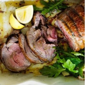 Stege - store og små