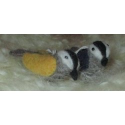 Spurv med gule vinger, har ophng