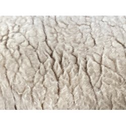 Ruld, rhvid fra vores kologiske shropshirelam