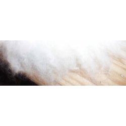 Lammeskind, languldet bld