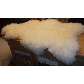 Lammeskind, languldet bld