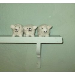 Lam rhvid, lavet af uld