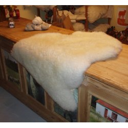 Lammeskind,  shropshire