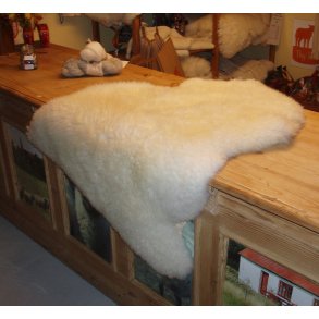 Lammeskind,  shropshire