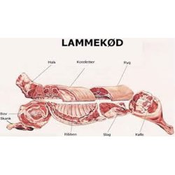 1/1 lam FERSK, direkte fra slagteren, kologisk, finparteret Thy Lam, hvis 20 kg